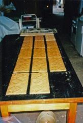 Bodenfliesen-Saustall2